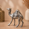 Handcrafted Silver Finish Camel Showpiece